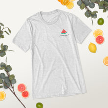 Load image into Gallery viewer, Watermelon Sugar - Tri-blend Tee (Light)