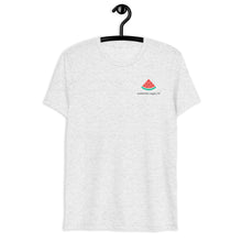 Load image into Gallery viewer, Watermelon Sugar - Tri-blend Tee (Light)