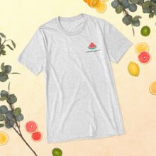 Load image into Gallery viewer, Watermelon Sugar - Tri-blend Tee (Light)